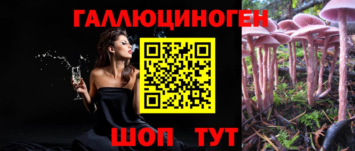 Калач-на-Дону  Галлюциногенные грибы мухоморы  Вход с VPN 